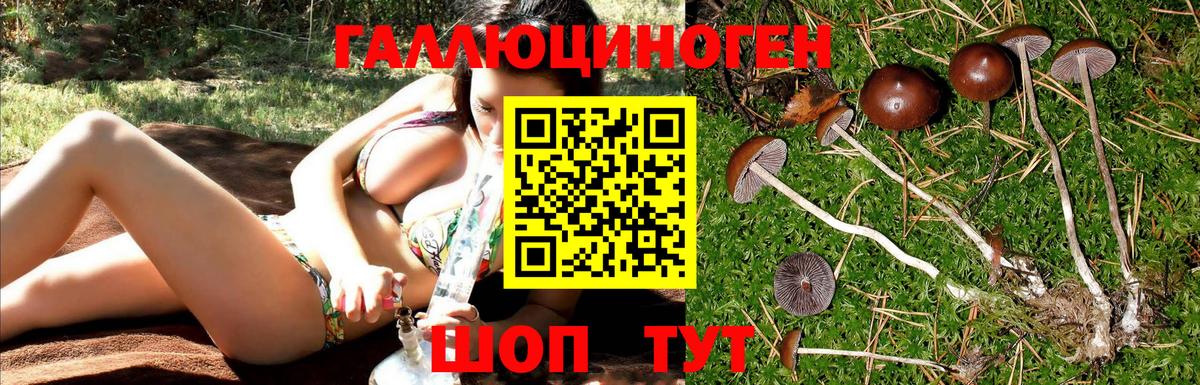 Галлюциногенные грибы Cubensis  Вход с VPN  Нововоронеж  Псилоцибиновые грибы мицелий 