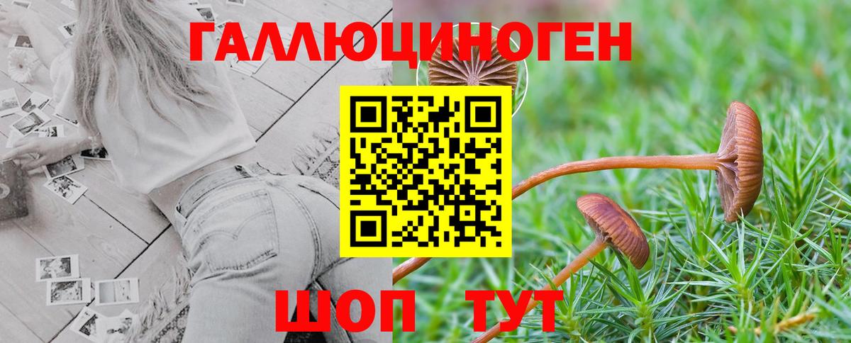 Галлюциногенные грибы GOLDEN TEACHER Нововоронеж